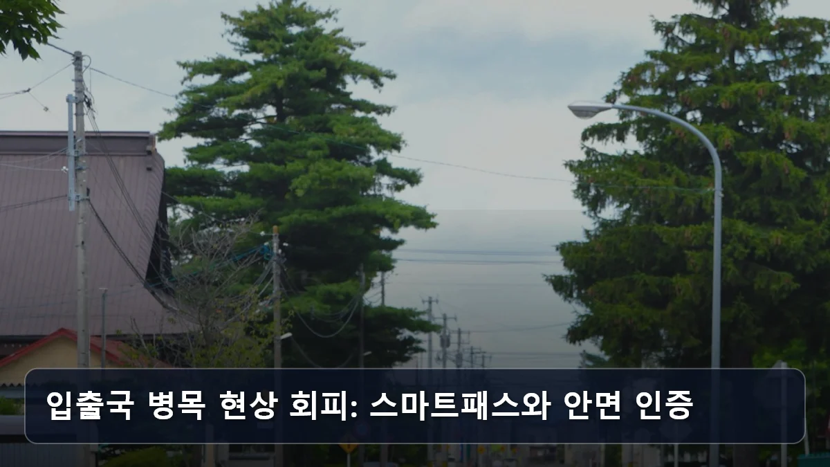 입출국 병목 현상 회피: 스마트패스와 안면 인증 관련 이미지