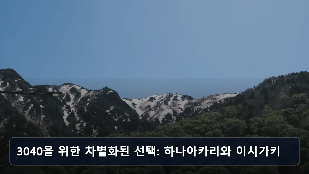 3040을 위한 차별화된 선택: 하나아카리와 이시가키 관련 이미지